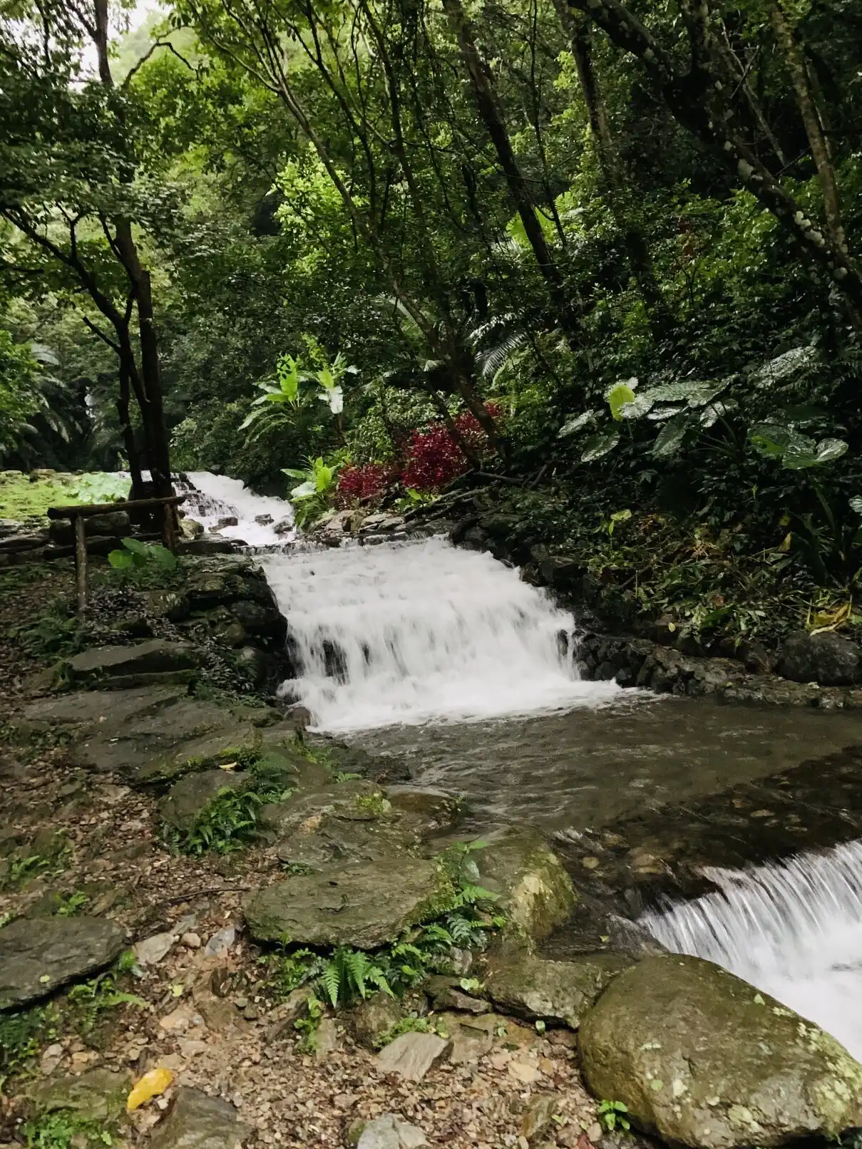 清流激湍