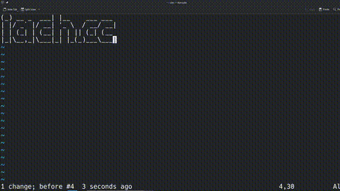 vim 插入指令